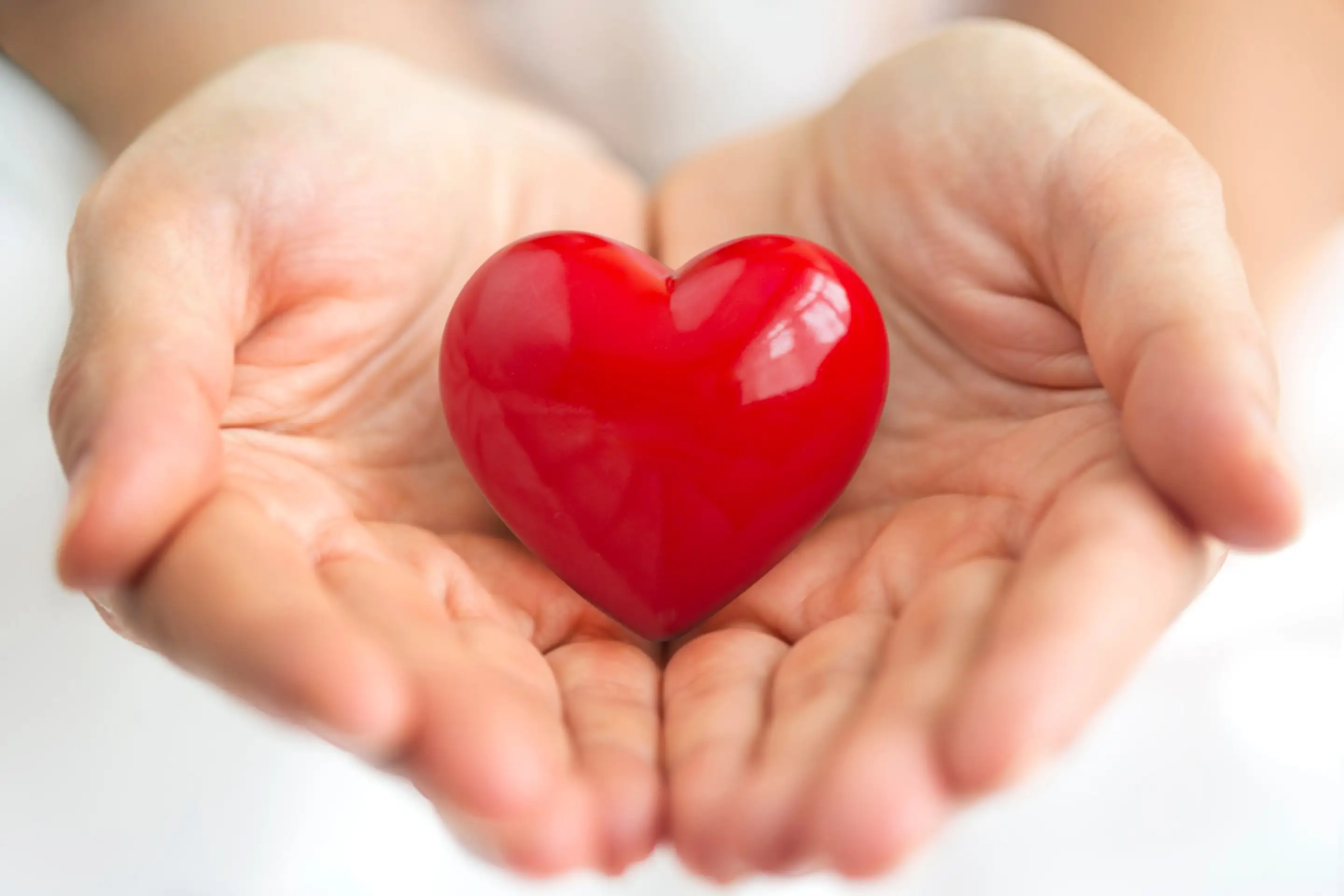 A pair of open hands holding a small red heart