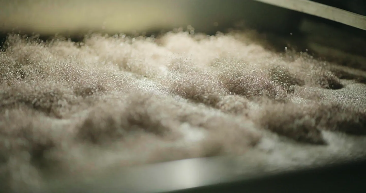 Chia seed moving through the cleaning line